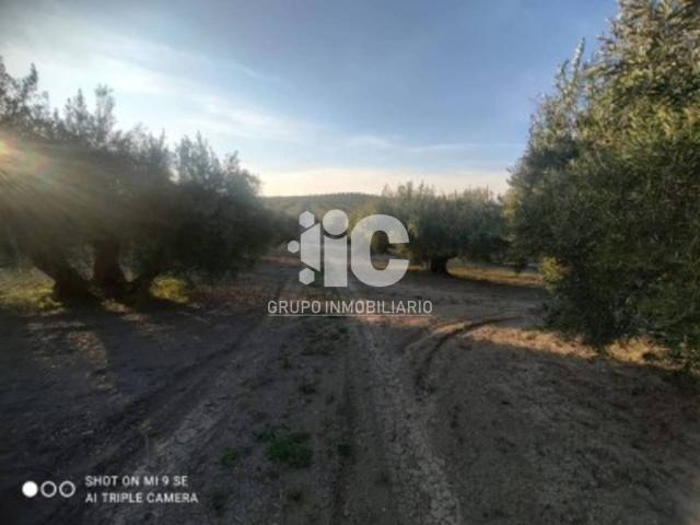 Terreno en venta en Doña Mencía, Andalucía