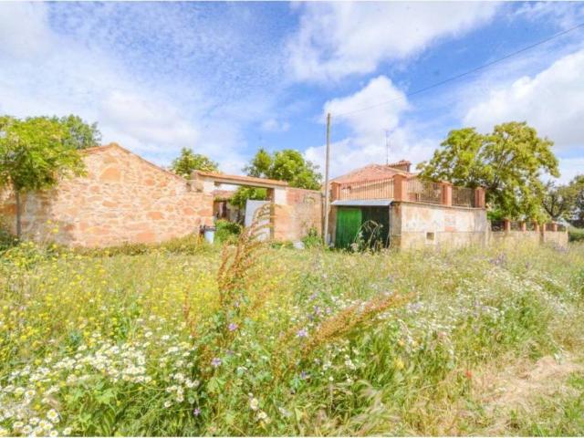 Terreno en venta en Doñinos De Salamanca, Castilla y León