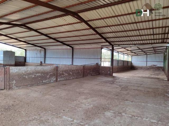 Terreno en venta en Doñinos De Salamanca, Castilla y León