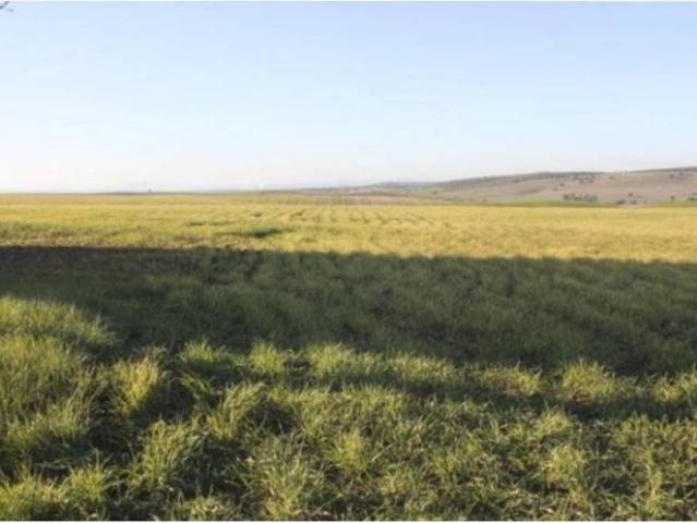 Terreno en venta en Doñinos De Salamanca, Castilla y León