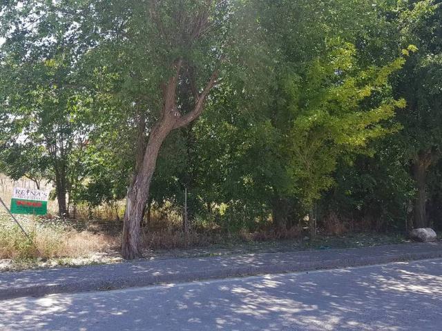 Terreno en venta en Driebes, Castilla-La Mancha