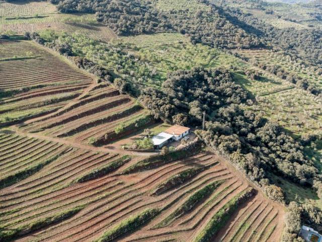 Terreno en venta en Dúdar