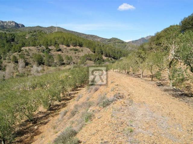 Terreno en venta en Baix Camp, Catalunya