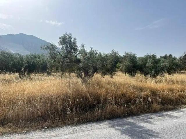 Terreno en venta en Marchena, Comarca del Valle de Lecrín