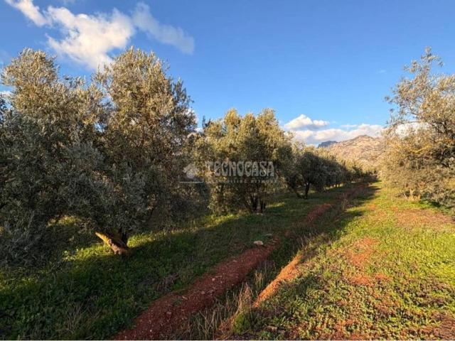 Terreno en venta en Comarca del Valle de Lecrín, Andalucía