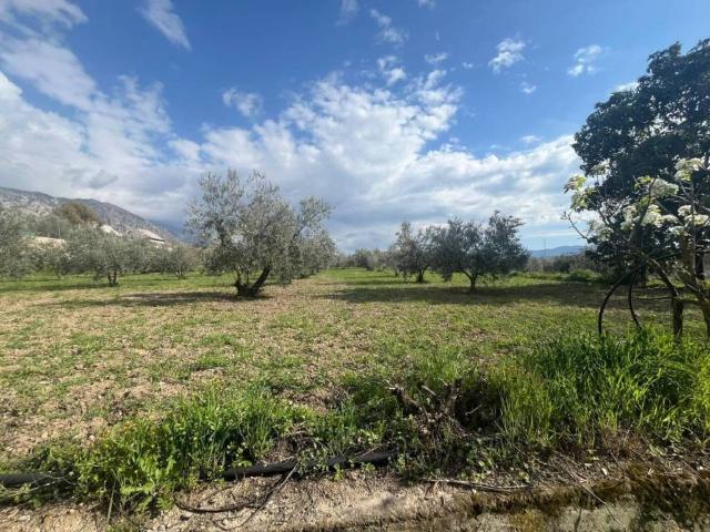 Terreno en venta en Marchena, Comarca del Valle de Lecrín