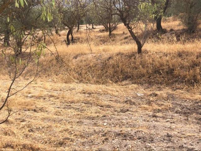 Terreno en venta en Comarca del Valle de Lecrín, Andalucía