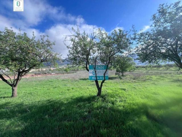 Terreno en venta en Comarca del Valle de Lecrín, Andalucía