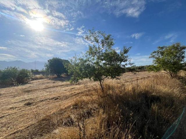 Terreno en venta en Comarca del Valle de Lecrín, Andalucía