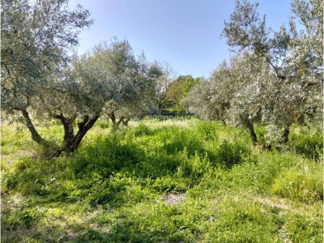 Terreno en venta en Comarca del Valle de Lecrín, Andalucía