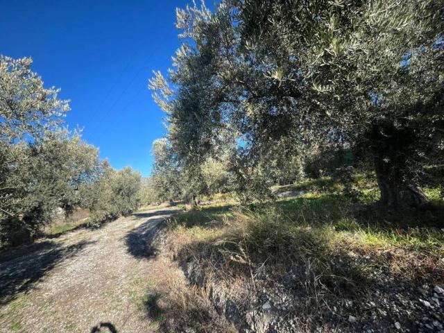 Terreno en venta en Comarca del Valle de Lecrín, Andalucía