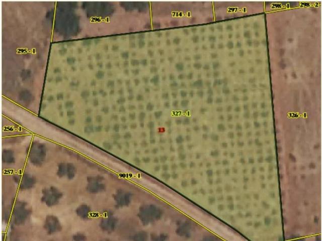 Terreno en venta en Marchena, Comarca del Valle de Lecrín