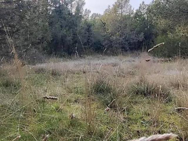 Terreno en venta en Duruelo, Castilla y León