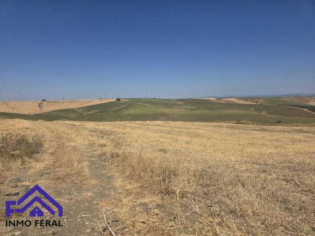 Terreno en venta en Écija, Andalucía