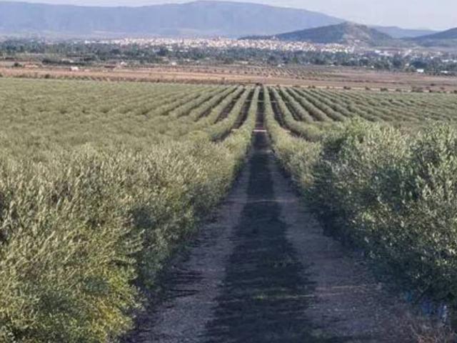 Terreno en venta en Écija, Sevilla