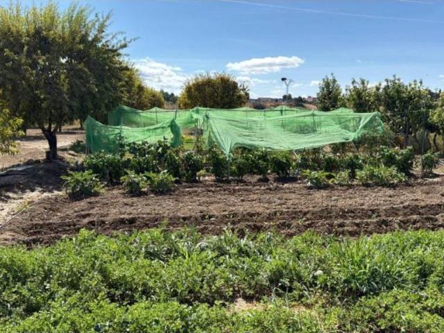 Terreno en venta en Ejea de los Caballeros, Zaragoza