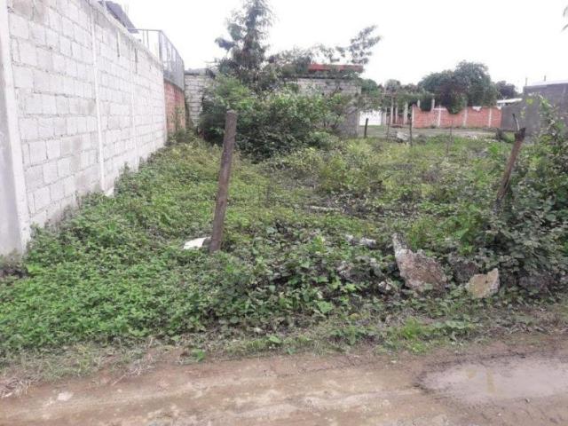 Terreno en venta en Francisco Zarco, Martínez de la Torre