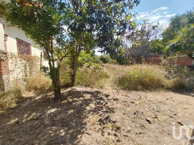 Terreno en venta en Heroica Ciudad De Ejutla De Crespo, Oaxaca