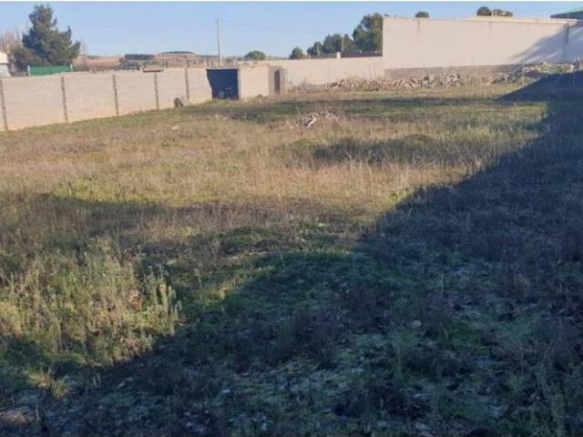 Terreno en venta en El Acebrón, Castilla-La Mancha