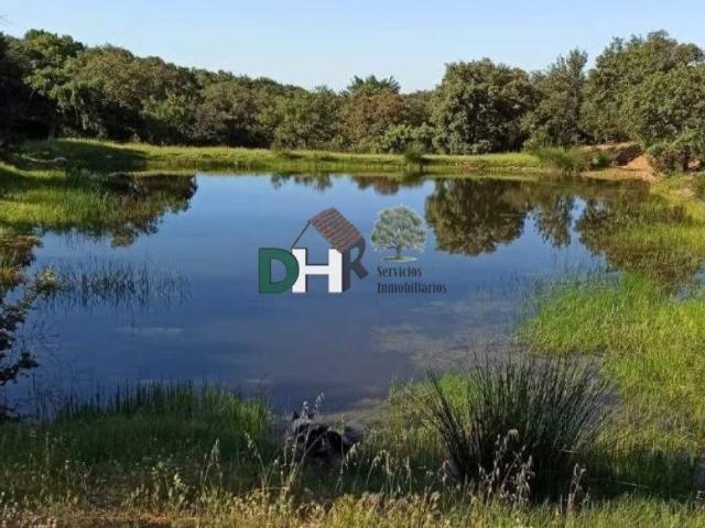 Terreno en venta en El Álamo, Madrid