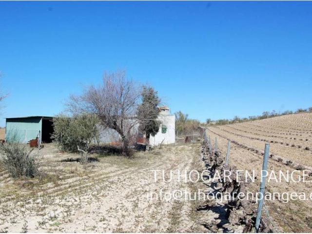 Terreno en venta en El Álamo, Madrid