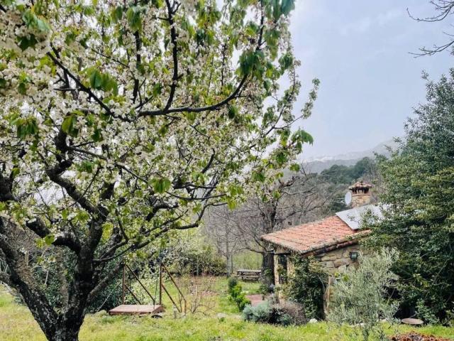 Terreno en venta en El Arenal, Castilla y León