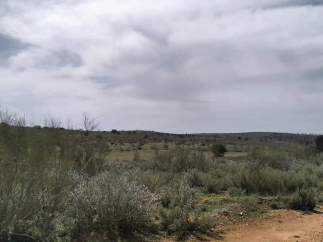 Terreno en venta en El Bonillo, Castilla-La Mancha
