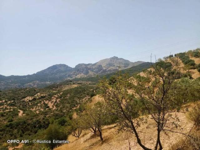 Terreno en venta en El Burgo, Málaga