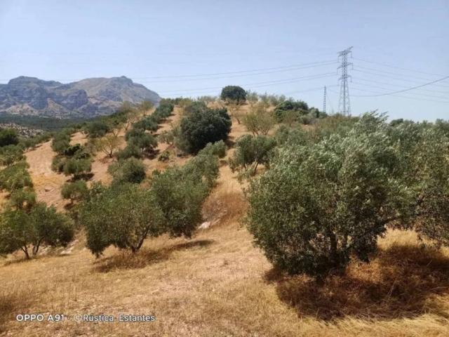 Terreno en venta en Sierra de las Nieves, Andalucía