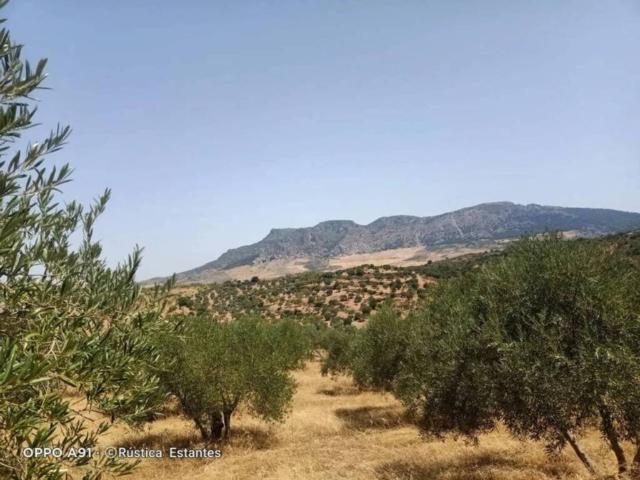 Terreno en venta en El Burgo, Málaga