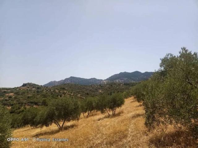 Terreno en venta en Sierra de las Nieves, Andalucía