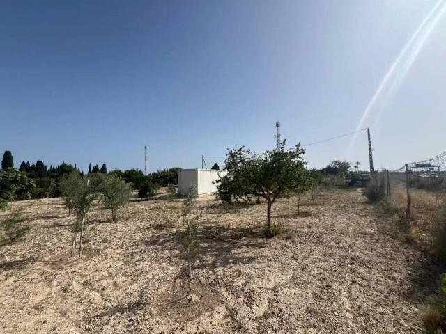 Terreno en venta en l'Alacantí, Valencia