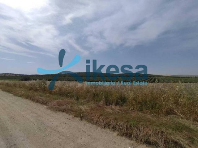 Terreno en venta en El Carpio, Andalucía