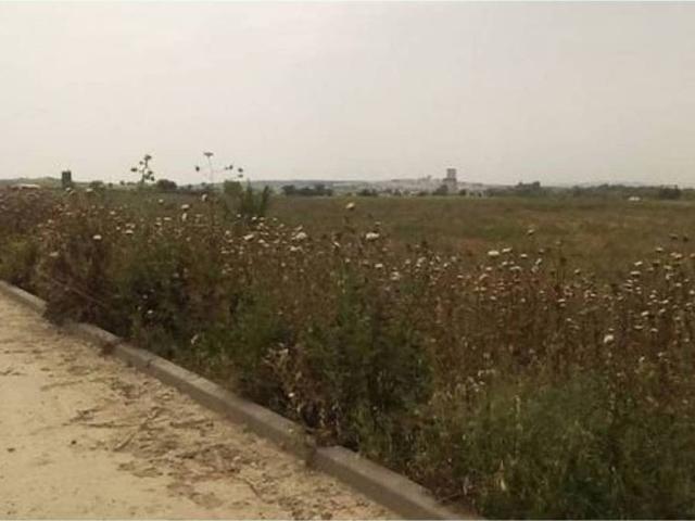 Terreno en venta en El Carpio, Andalucía