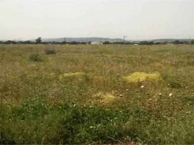 Terreno en venta en El Carpio, Andalucía