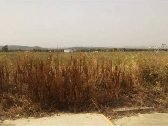 Terreno en venta en El Carpio, Andalucía
