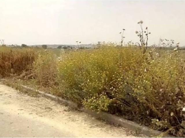 Terreno en venta en El Carpio, Andalucía