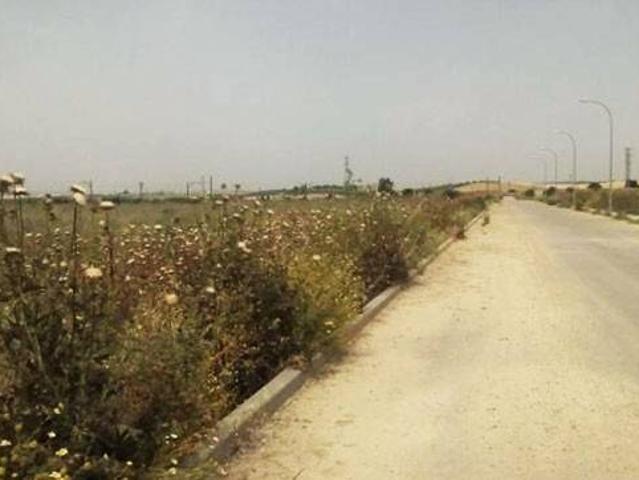 Terreno en venta en El Carpio, Andalucía