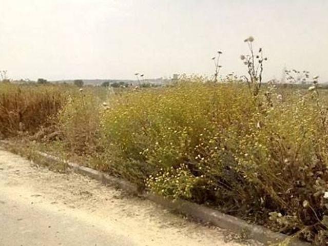 Terreno en venta en El Carpio, Andalucía