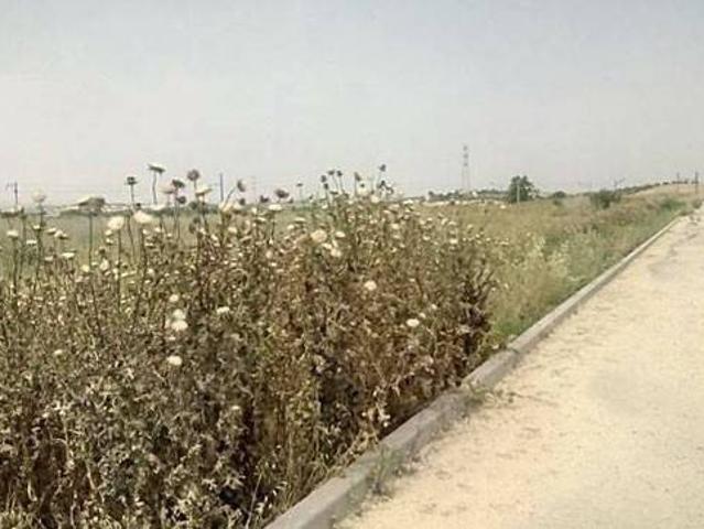 Terreno en venta en El Carpio, Andalucía