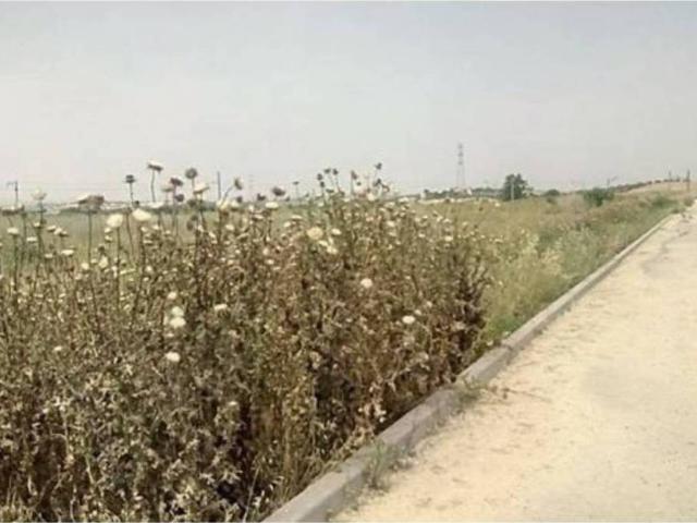 Terreno en venta en El Carpio, Andalucía