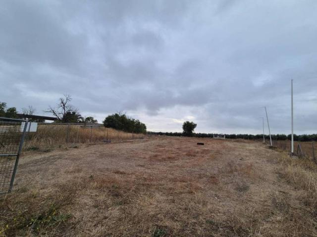 Terreno en venta en El Carpio, Andalucía