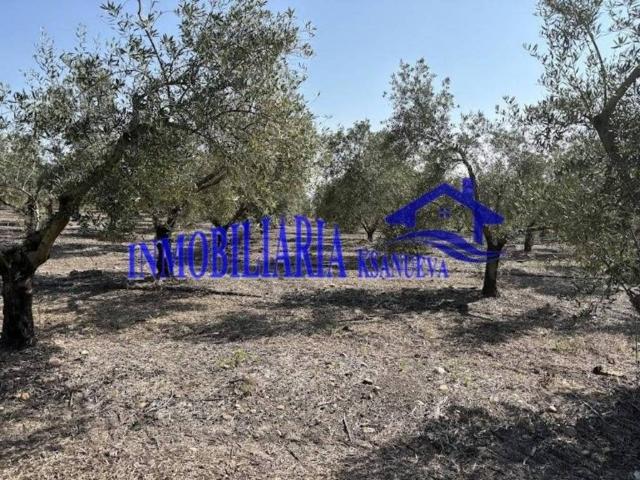 Terreno en venta en El Carpio, Andalucía