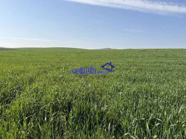 Terreno en venta en El Carpio, Andalucía