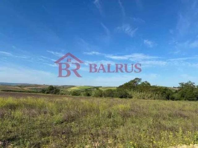 Terreno en venta en El Carpio De Tajo, Castilla-La Mancha