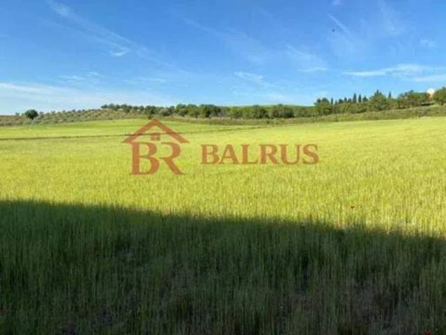 Terreno en venta en El Carpio De Tajo, Castilla-La Mancha