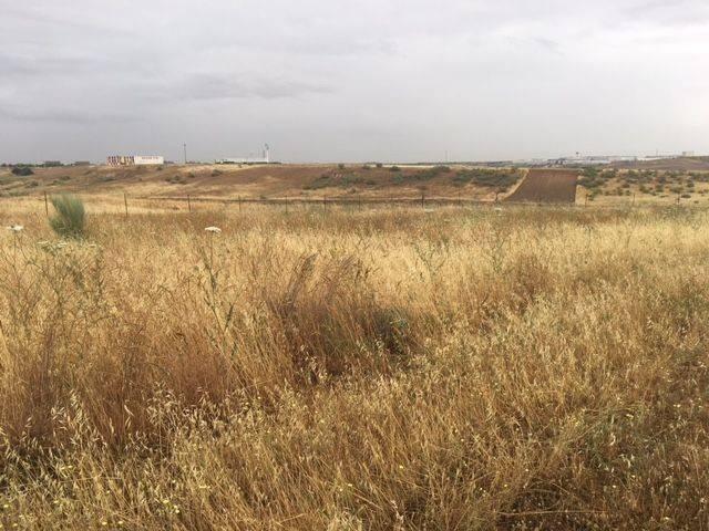 Terreno en venta en El Carpio De Tajo