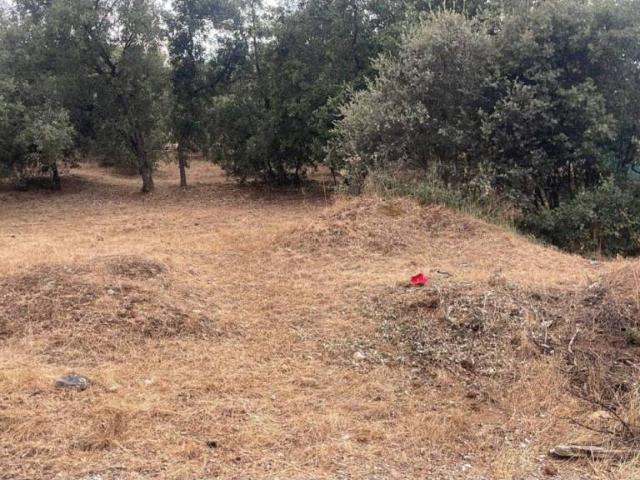Terreno en venta en El Casar, Castilla-La Mancha