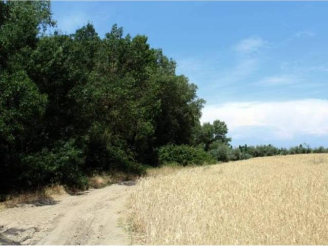 Terreno en venta en El Casar De Escalona, Castilla-La Mancha