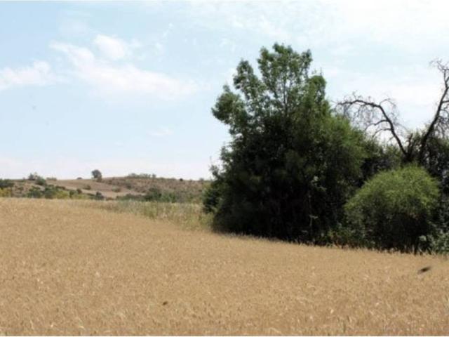 Terreno en venta en El Casar De Escalona, Castilla-La Mancha